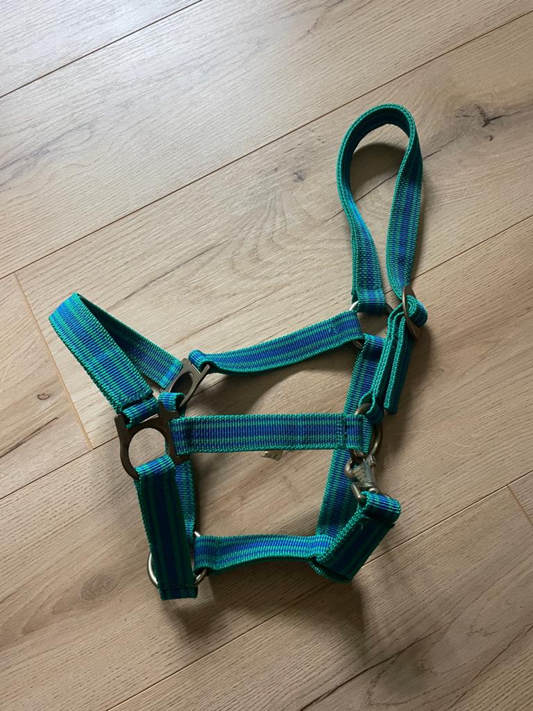 Halster voor pony nieuw, Ophalen of Verzenden, Nieuw