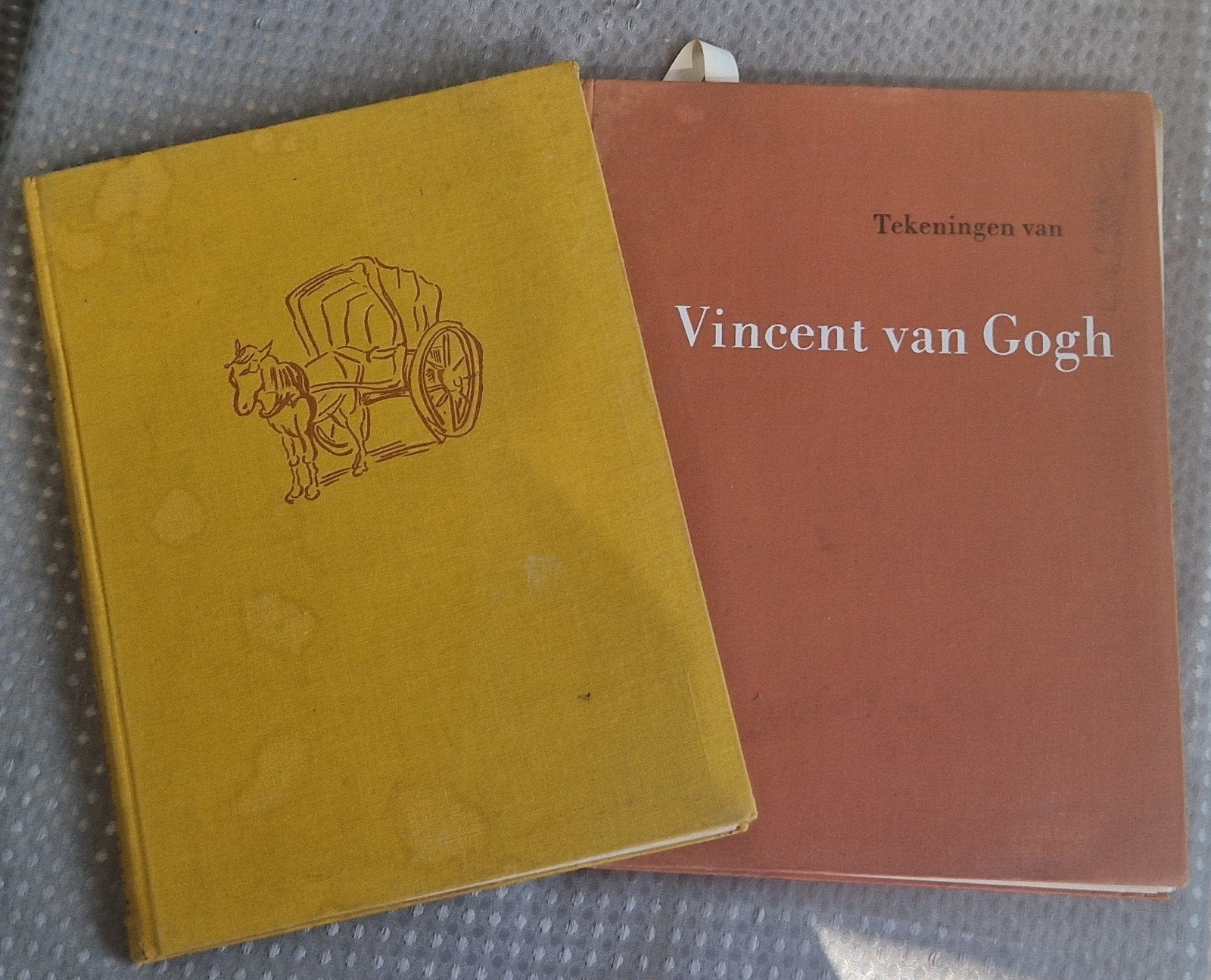 Boeken Vincent Van Gogh, Ophalen of Verzenden, Gelezen