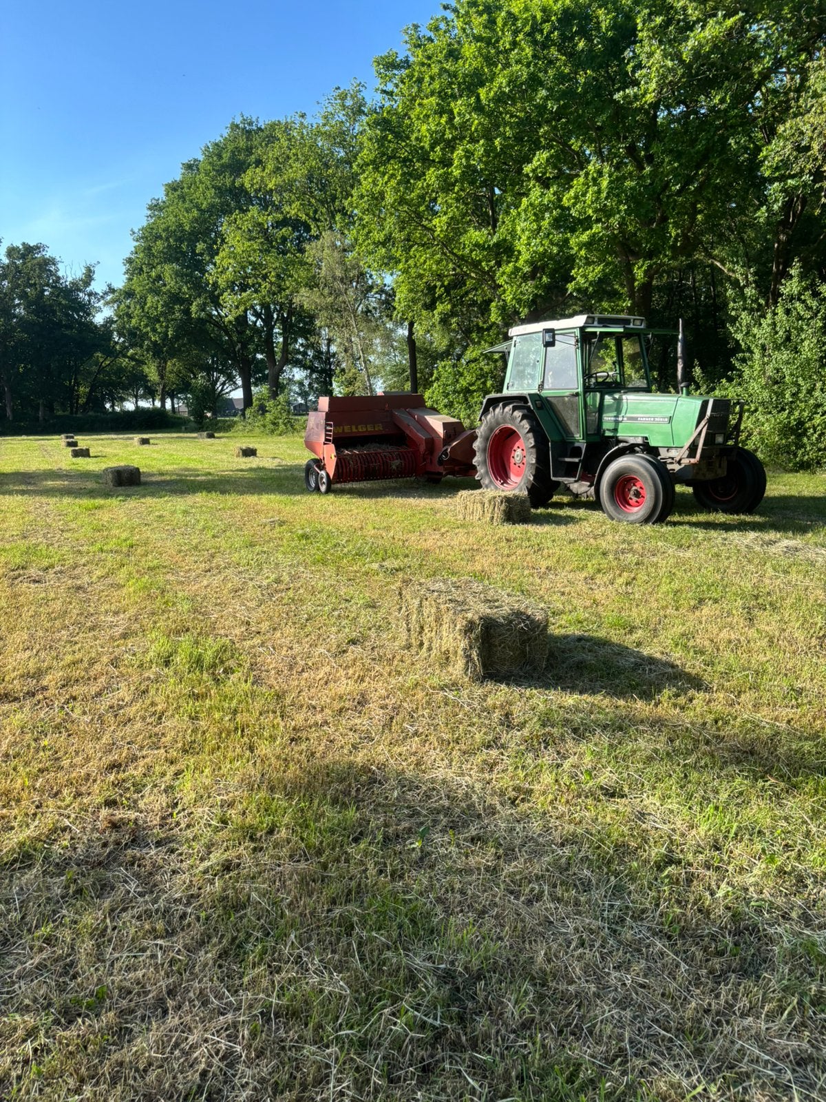 Hooi / stro persen, Ophalen
