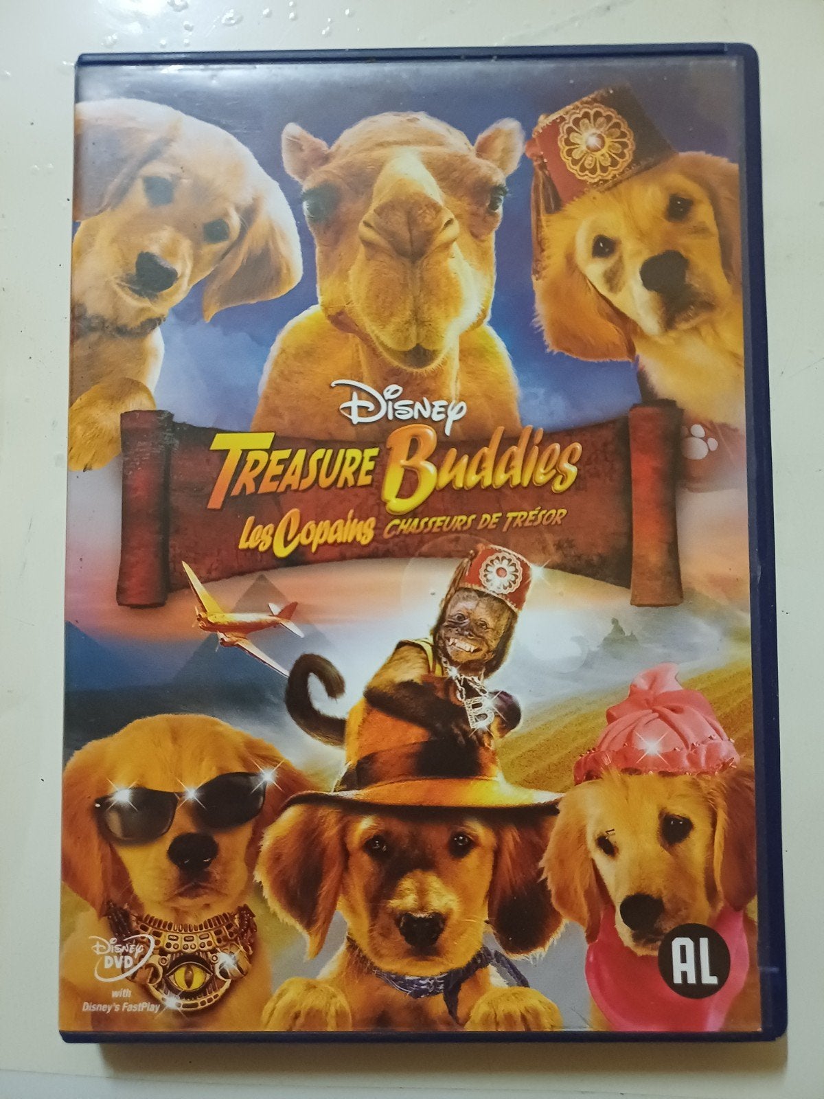 Treasure Buddies, Alle leeftijden, Ophalen of Verzenden, Zo goed als nieuw