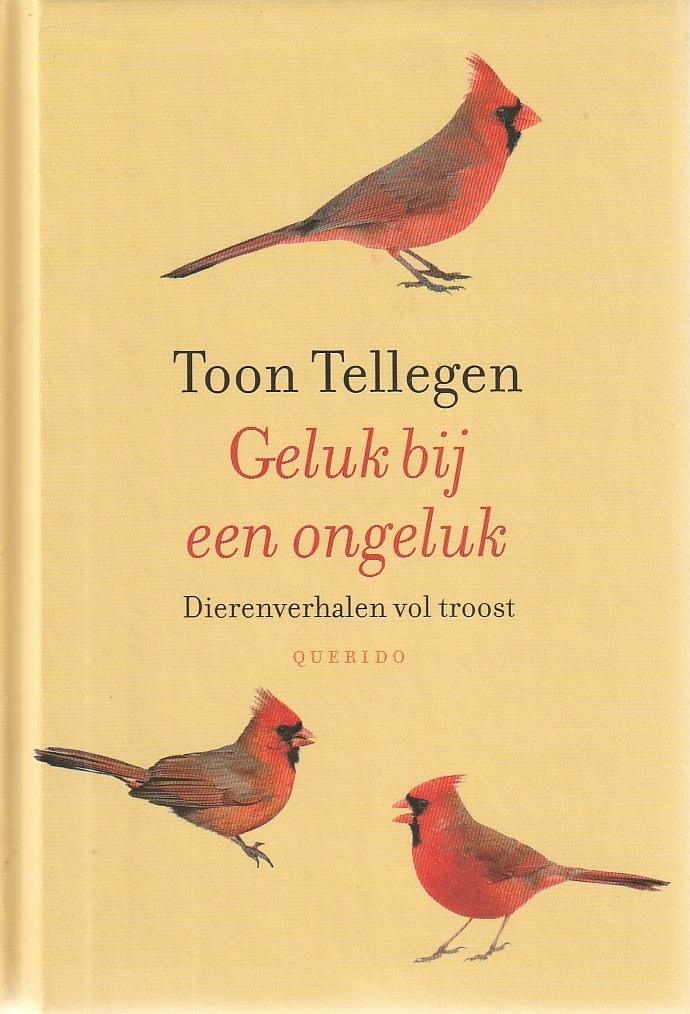 GELUK BIJ EEN ONGELUK - Toon Tellegen, Verzenden, Zo goed als nieuw, Fictie algemeen
