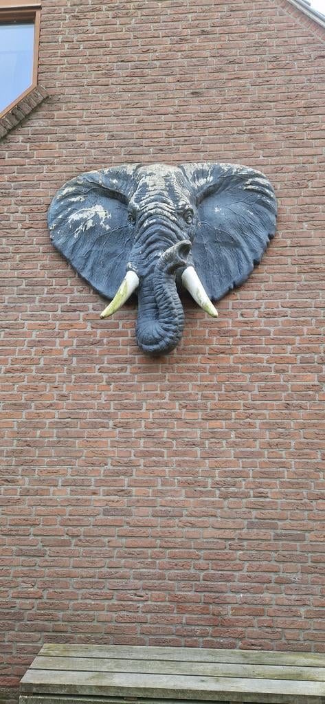 Olifantenkop Muurdecoratie - Uniek en Opvallend, Tuin en Terras, Tuinbeelden, Ophalen