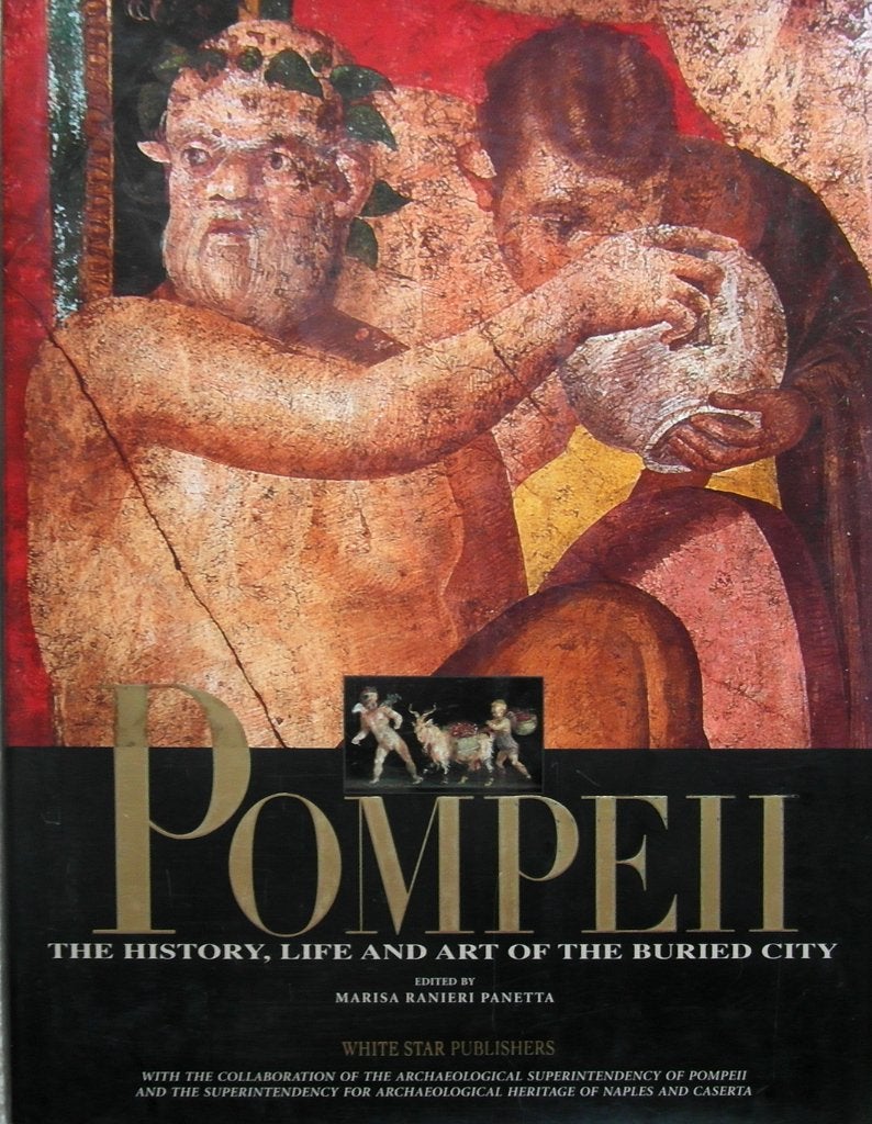 Pompeii: The History, Life and Art of the Buried City, Ophalen of Verzenden, Zo goed als nieuw