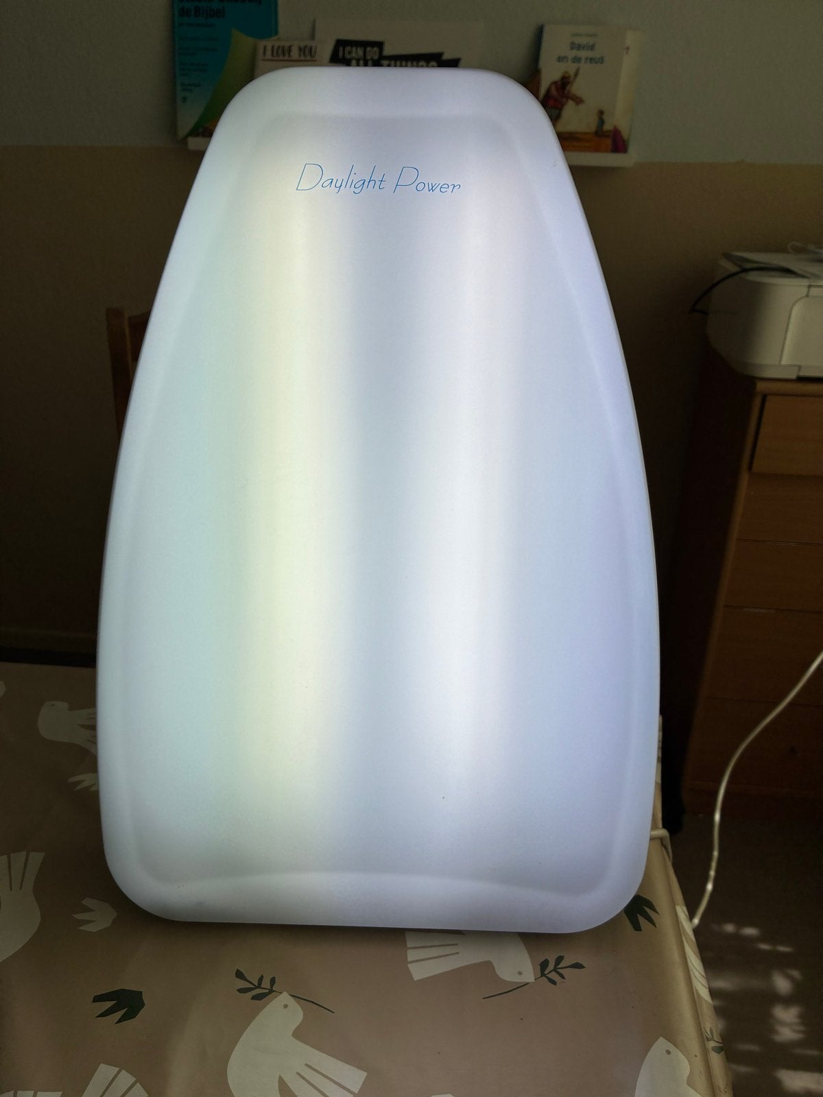 Daylight Power daglichtlamp - Philips PLL-36W/865, Ophalen, Wit, Gebruikt, Kunststof