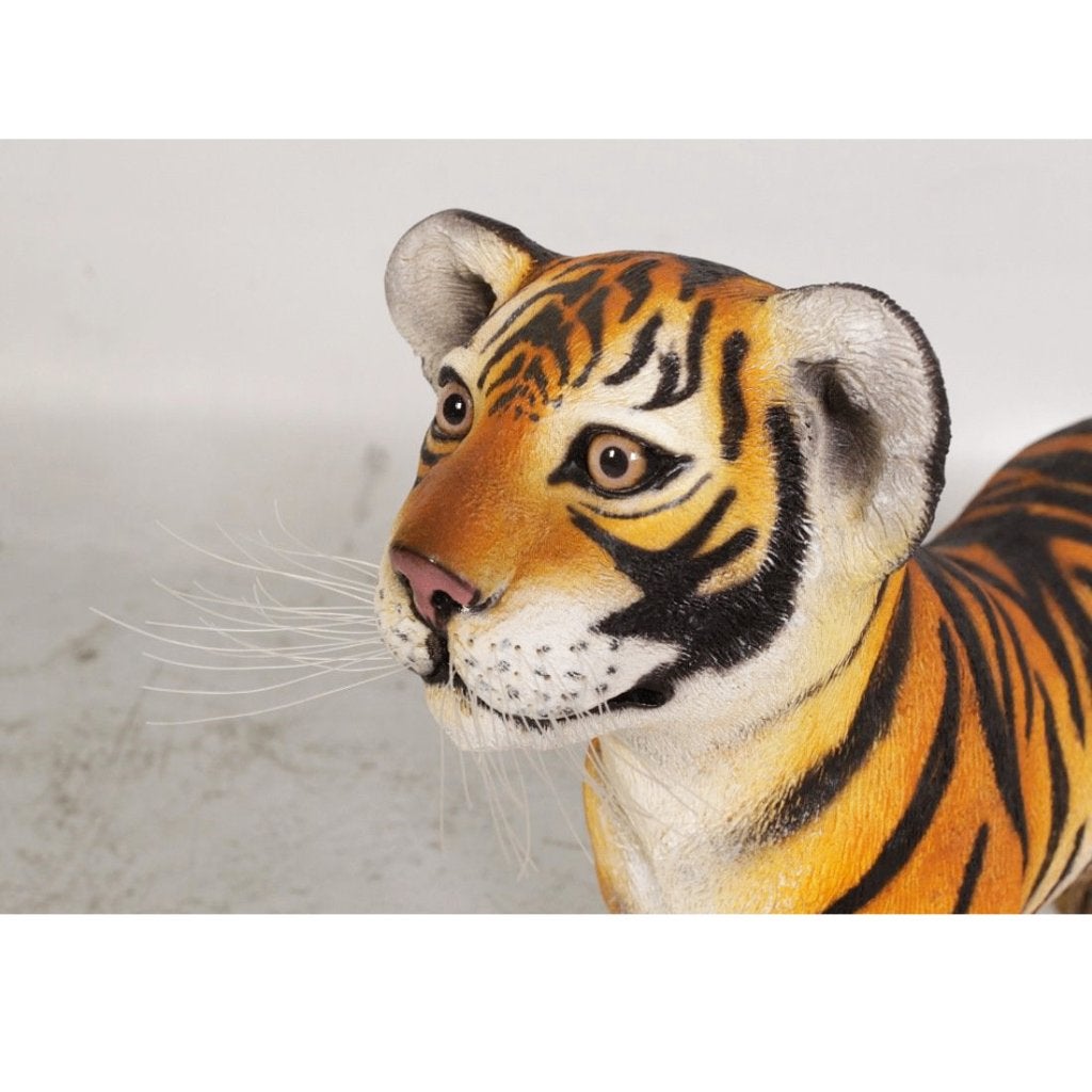Tiger Cub Standing – Tijger beeld Lengte 82 cm, Ophalen, Nieuw, Overige soorten, Beeldje of Figuurtje