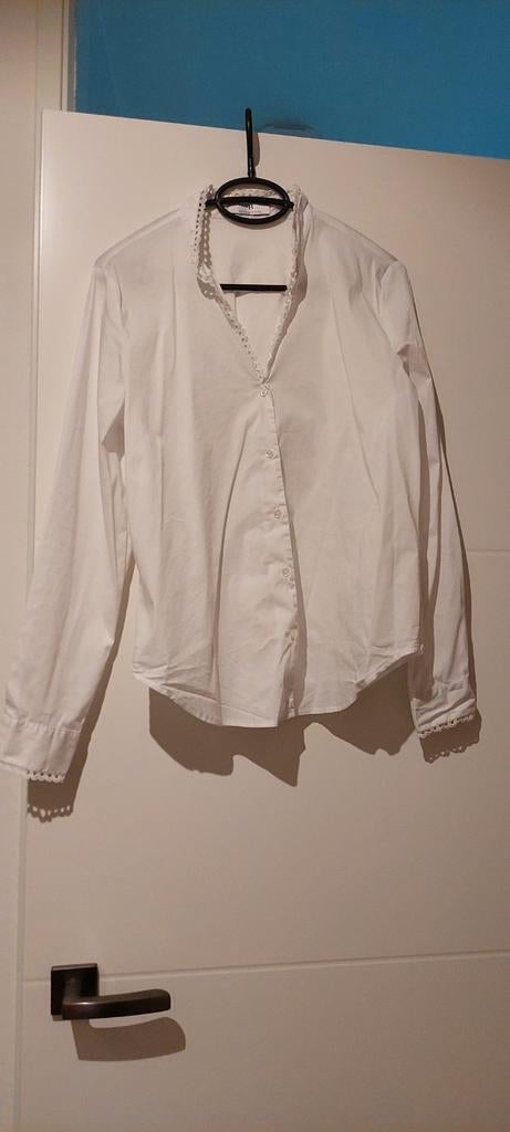 Peter Hahn blouse maat maat M, Ophalen of Verzenden, Zo goed als nieuw, Maat 38/40 (M)