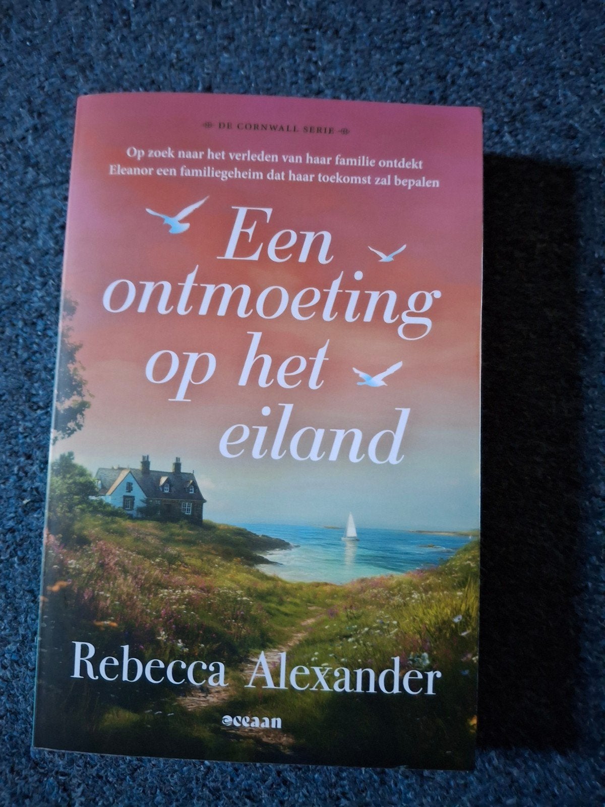 Rebecca Alexander - Een ontmoeting op het eiland, Boeken, Literatuur, Verzenden, Zo goed als nieuw, Rebecca Alexander