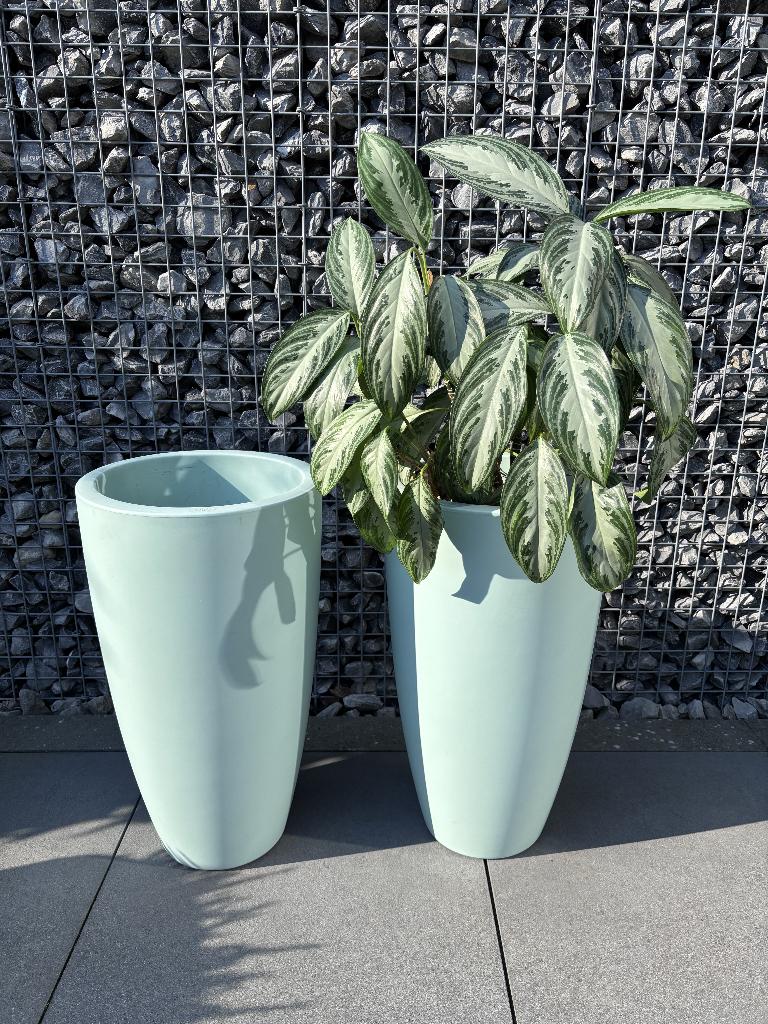 Set van 2 Elho pure soft bloempotten, kleur mint, Kunststof, Gebruikt, Rond, Balkon