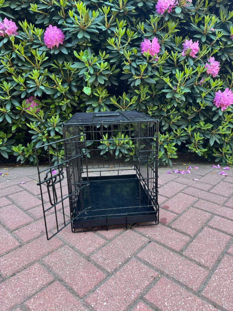 Bench hond, Ophalen, Zo goed als nieuw
