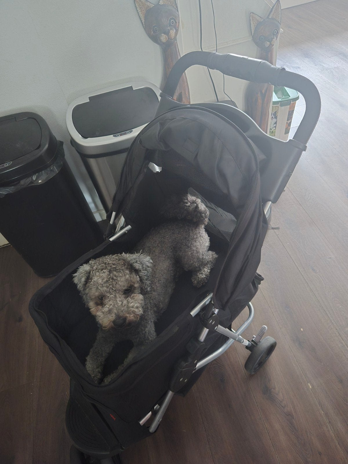 hondenbuggy, Dieren en Toebehoren, Honden-accessoires, Overige merken, Ophalen, Zo goed als nieuw, Hondenbuggy