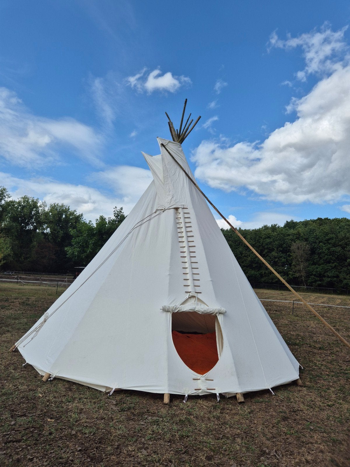 Uitverkoop nieuwe Tipis, Ophalen, Nieuw