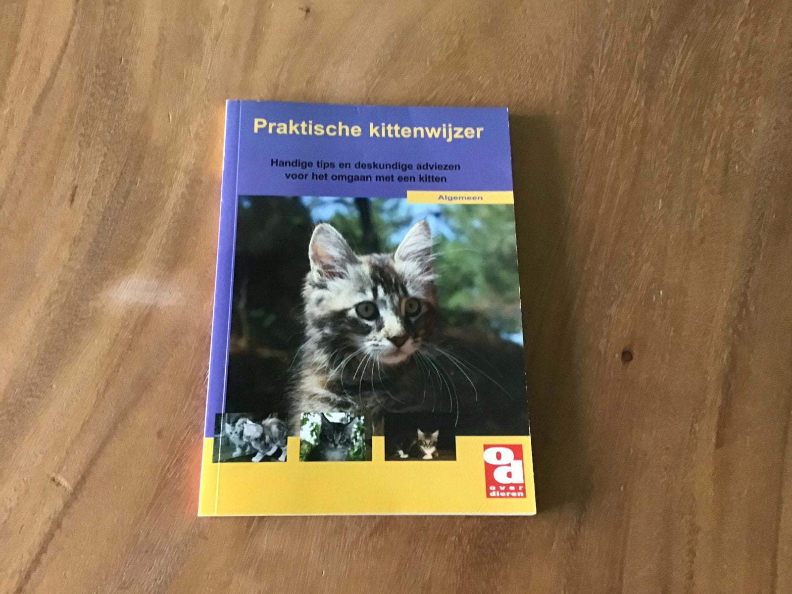 Praktische kittenwijzer: Handige tips en deskundig advies, Boeken, Dieren en Huisdieren, Verzenden, Gelezen, Katten