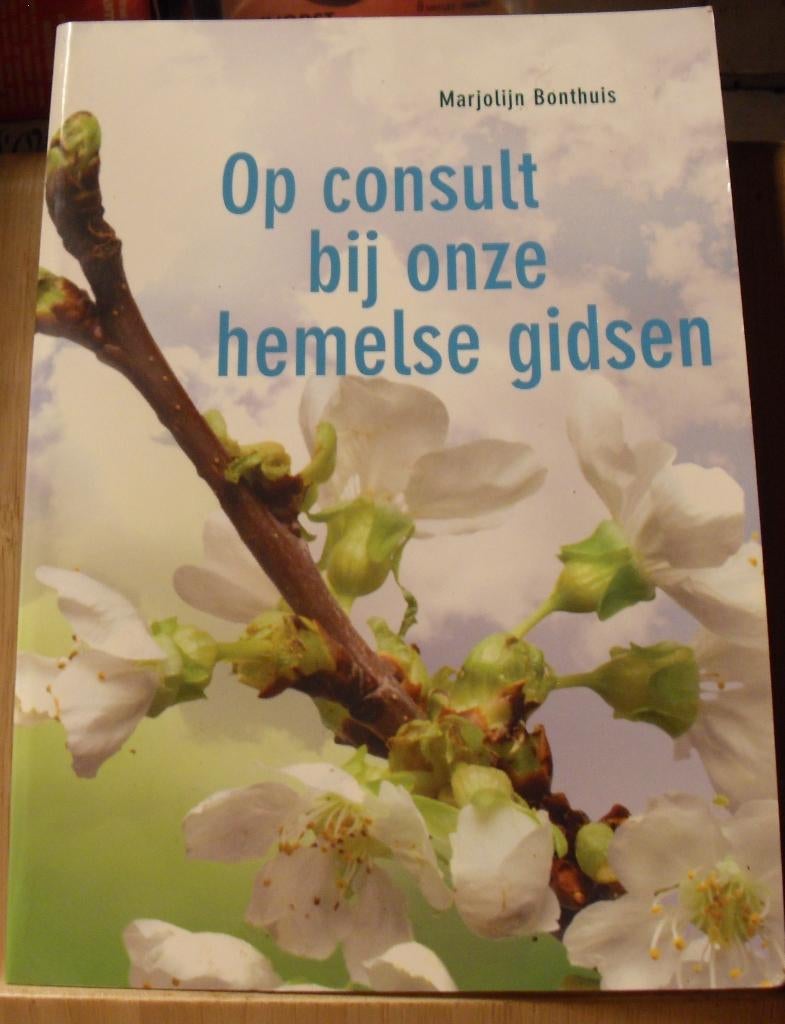 Op consult bij onze hemelse gidsen, Marjolijn Bonthuis, Ophalen of Verzenden, Zo goed als nieuw, Spiritualiteit algemeen, Overige typen