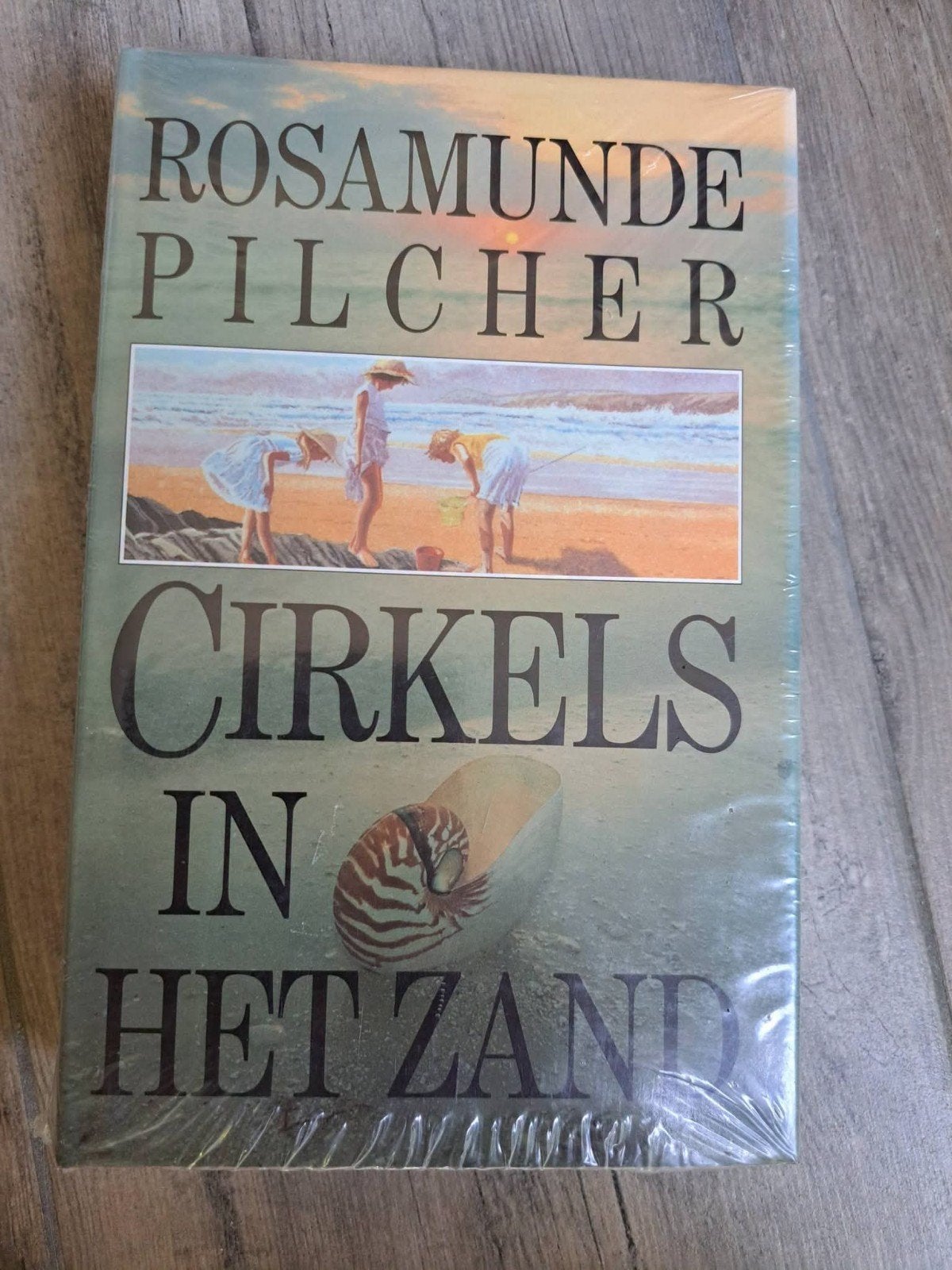 Roman Cirkels in het zand van Rosamunde Pilcher, Boeken, Ophalen of Verzenden, Gelezen