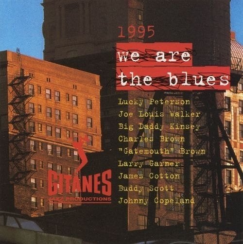SALE--CD VARIOUS - We Are The Blues 1995, Verzenden, Zo goed als nieuw, Jazz