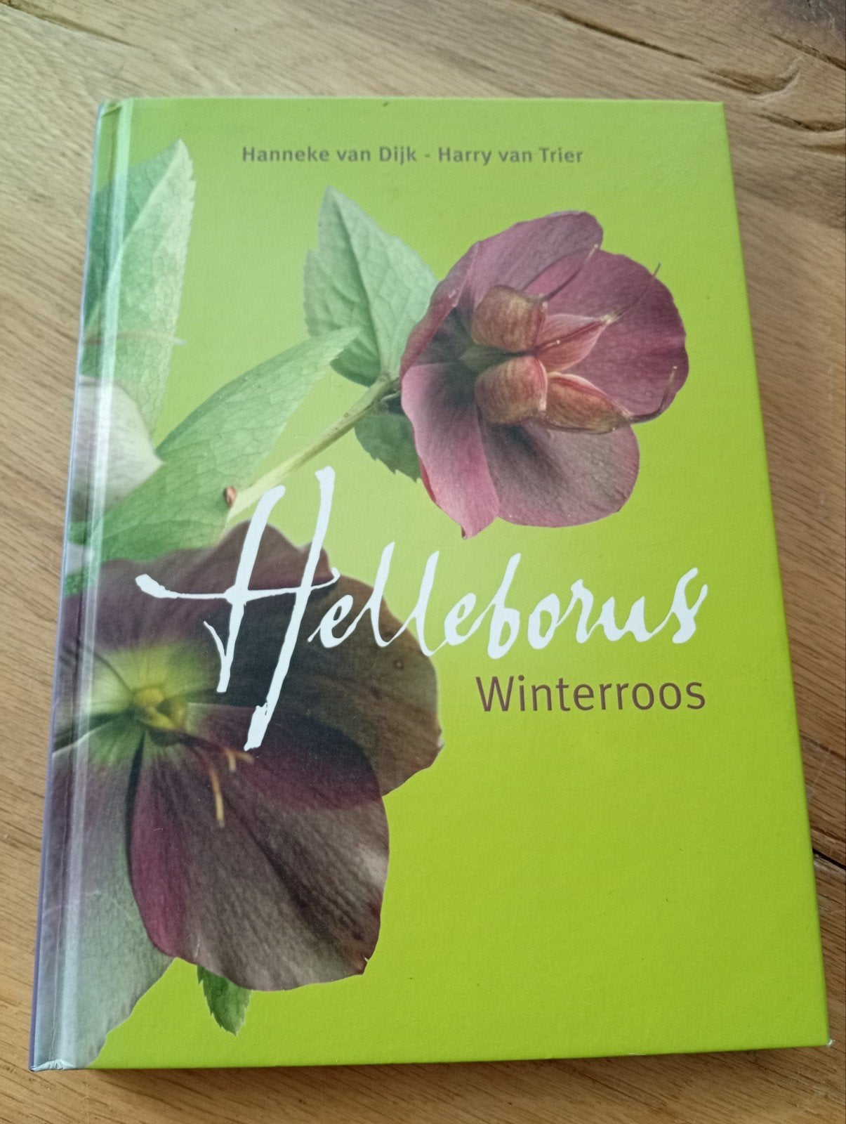 Helleborus Winterroos - Hanneke van Dijk & Harry van Trier, Ophalen of Verzenden