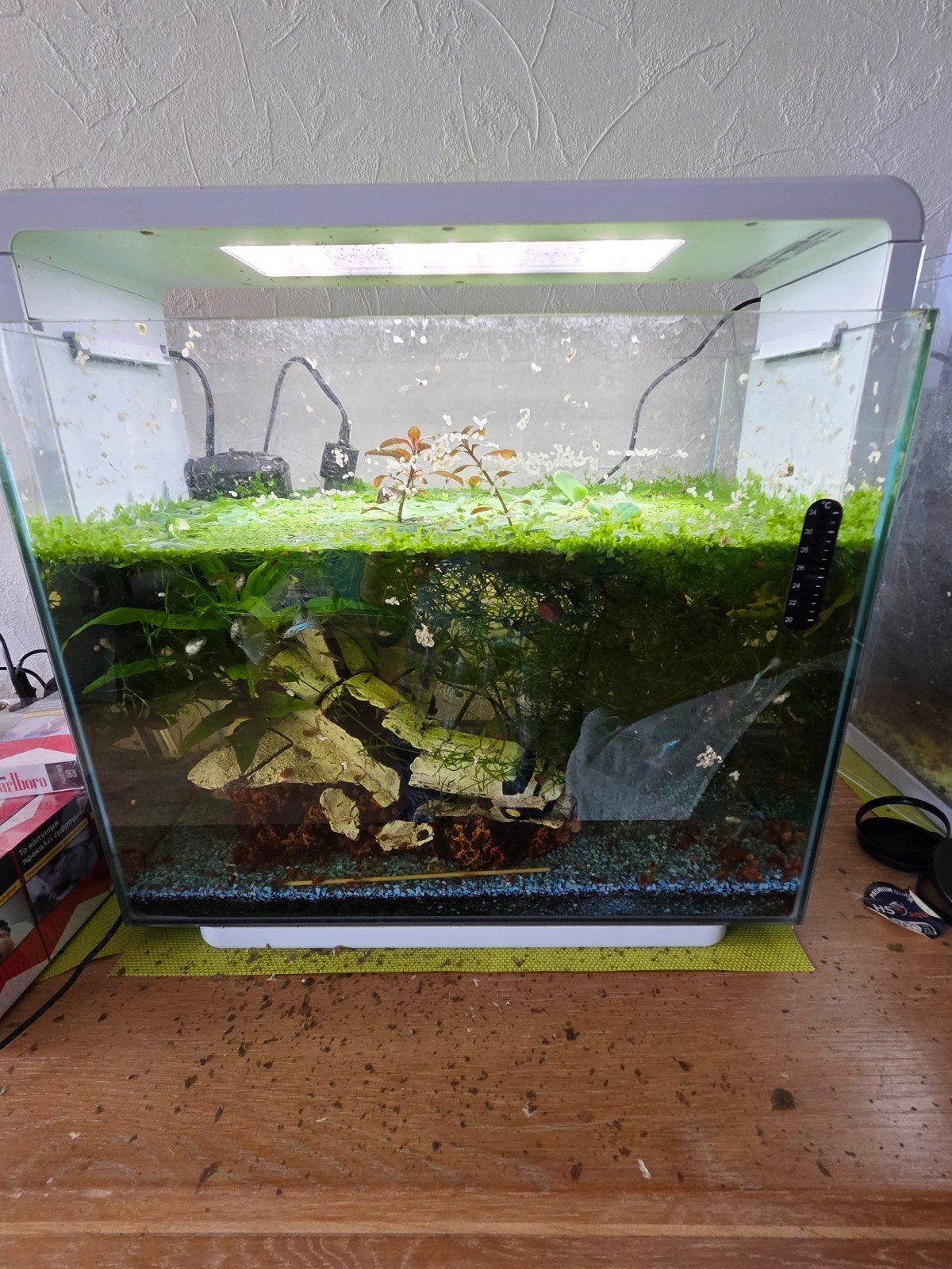 Superfish home 45 aquarium met raszuivere guppen en garnalen, Ophalen, Superfish, Inclusief vissen, Gevuld zoetwateraquarium