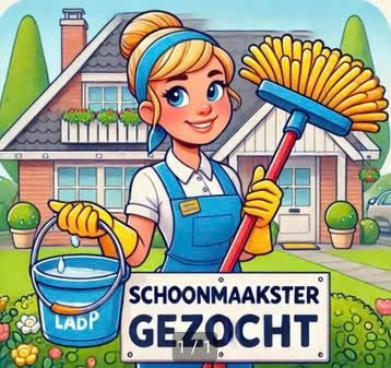 Fijne schoonmaakster gezocht