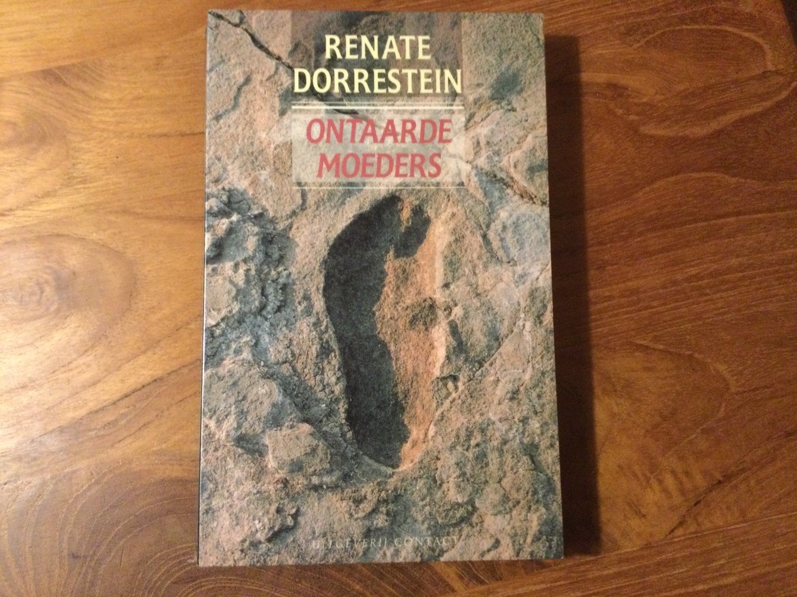 Renate Dorrestein, Ontaarde moeders, Ophalen of Verzenden, Zo goed als nieuw, Nederland
