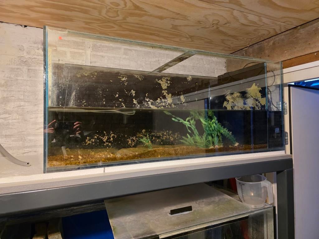 Meerdere aquariums en biologen. Zelf schoonmaken., Dieren en Toebehoren, Ophalen, Leeg aquarium