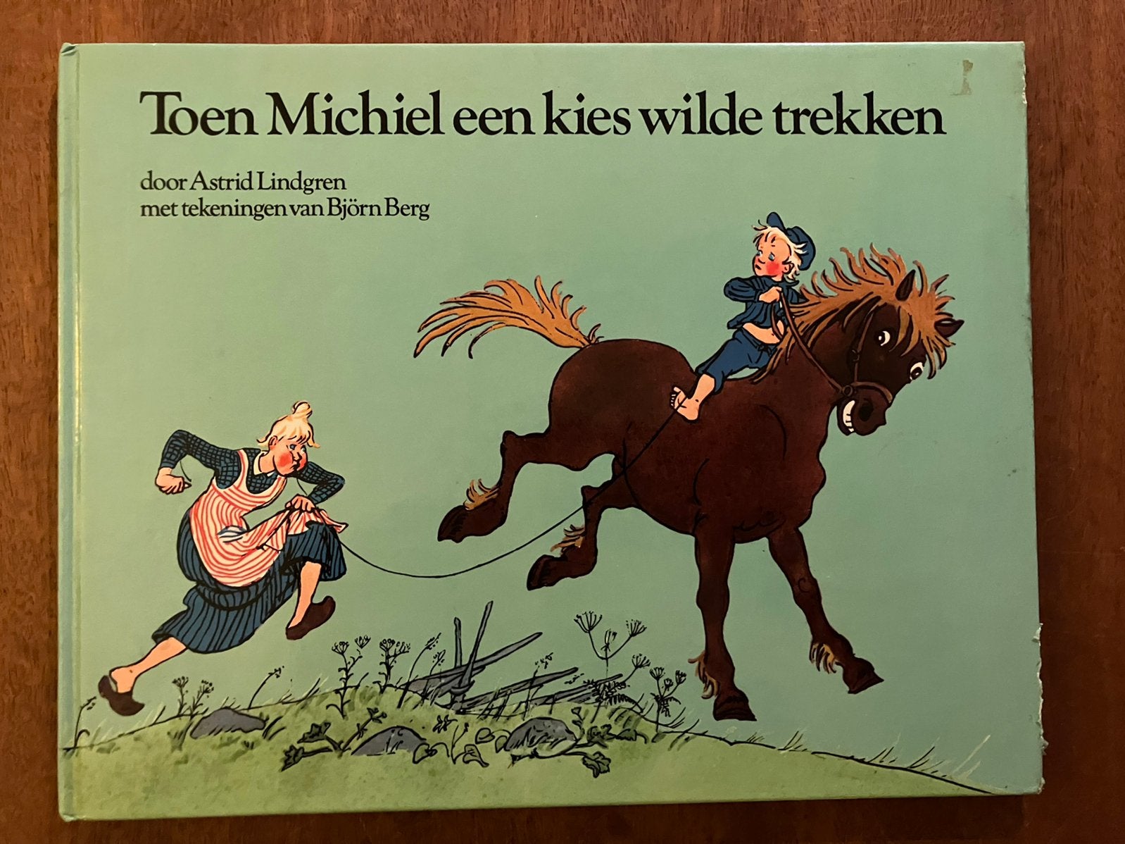 Astrid Lindgren Toen Michiel een kies wilde trekken BjornB, Boeken, Ophalen of Verzenden, Gelezen