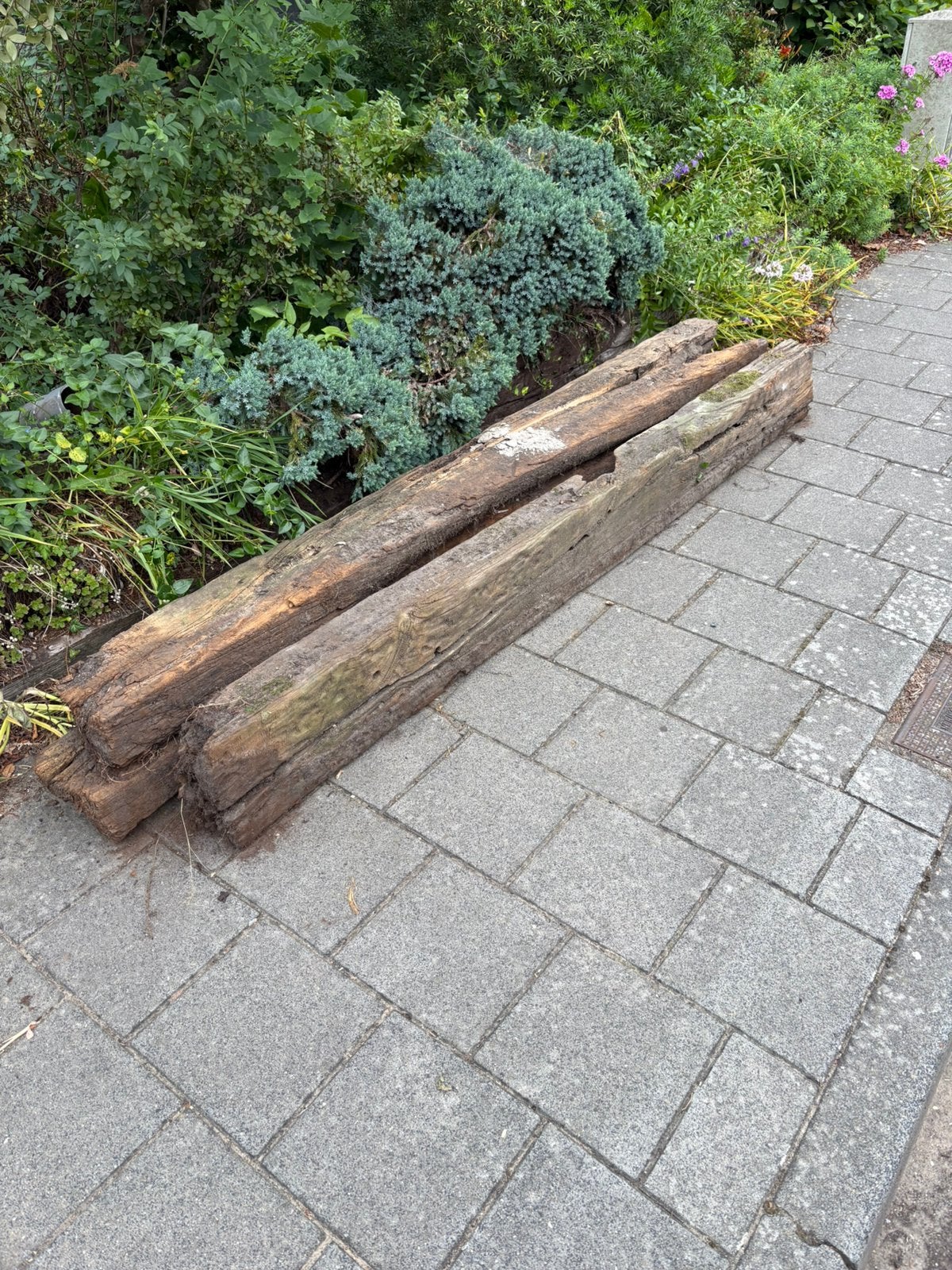 Bielzen 1 goede 2 gescheurde GRATIS, Ophalen, Zo goed als nieuw, 250 cm of meer, Balken