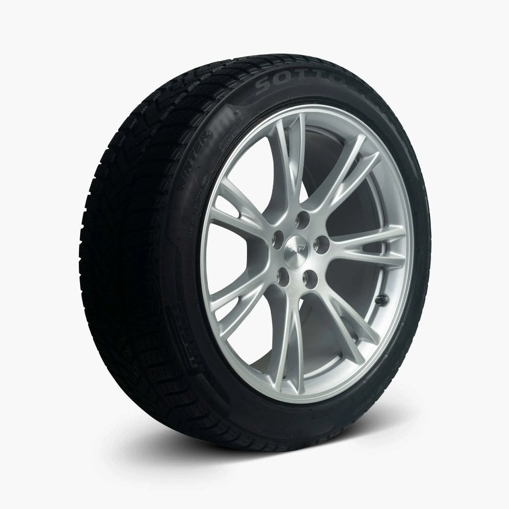 Tesla Model Y 19" Gemini velgen met Sottozero 3-winterbanden
