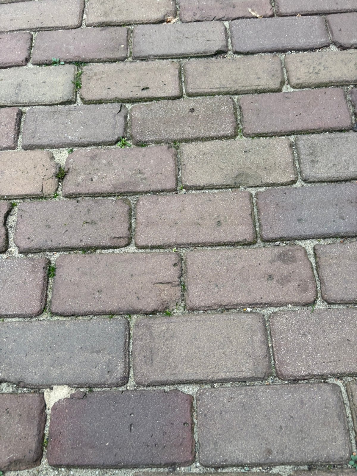 Gebakken klinkers dik formaat oud 15m2  150 euro op pallets, Ophalen, Gebruikt, Keramiek, Klinkers