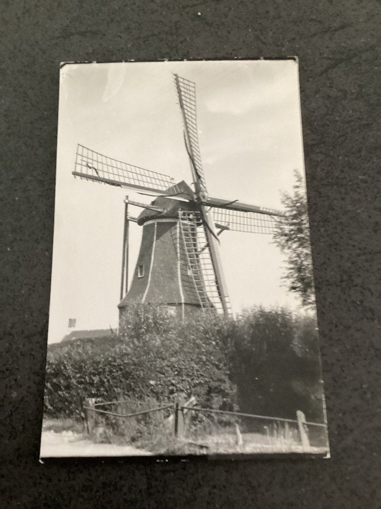 Fotokaart, Yerseke molen., Verzenden, 1960 tot 1980, Ongelopen, Zeeland