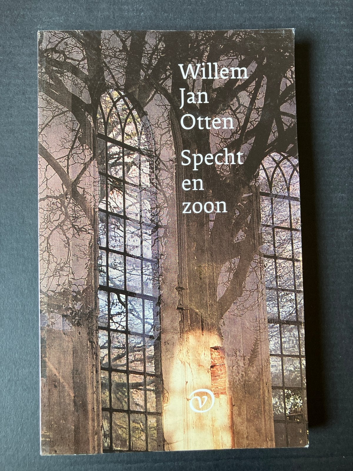 Willem Jan Otten - Specht en zoon (Roman), Ophalen of Verzenden, Gelezen, Nederland