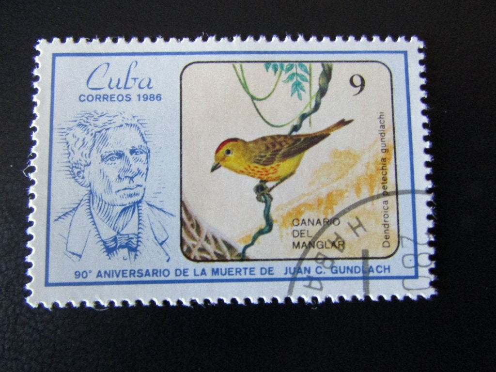 Postzegel Vogel: Mangrove-Zanger uit Cuba, Ophalen of Verzenden, Gestempeld, Dier of Natuur