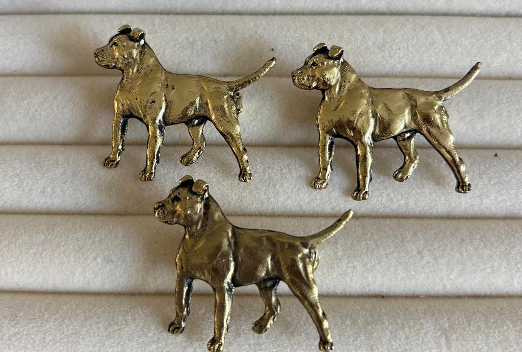 Amerikaanse staffordshire, Ophalen of Verzenden, Zo goed als nieuw, Goud, Overige materialen