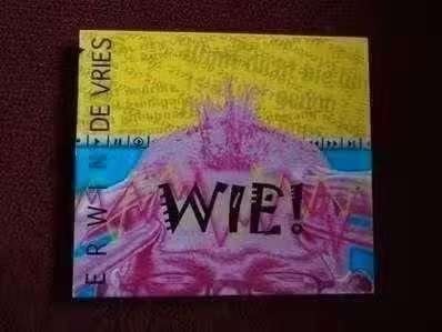 CD Erwin de Vries – Wie! , SIL 090, Folk, Ophalen of Verzenden, Zo goed als nieuw, Album