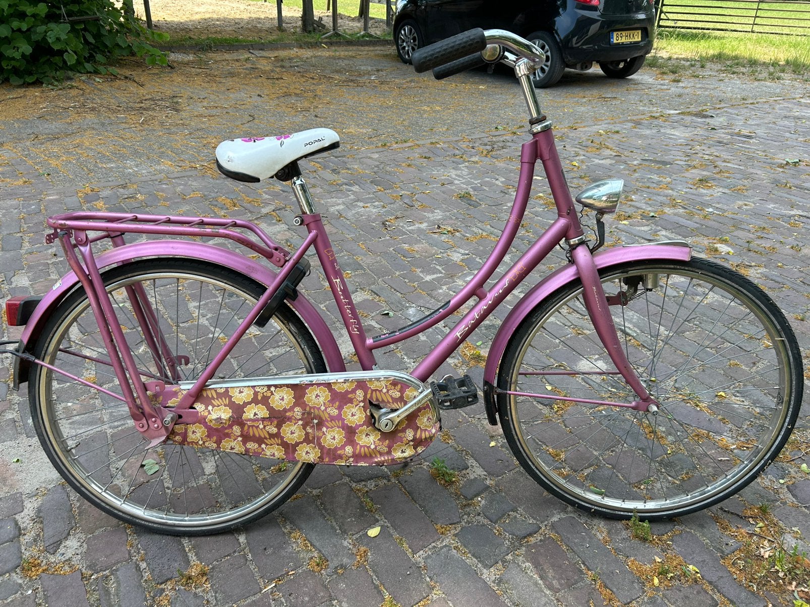 Kinderfiets 24 inch meisje Batavus Buttetrfly, Ophalen, Gebruikt, Terugtraprem, 20 inch of meer