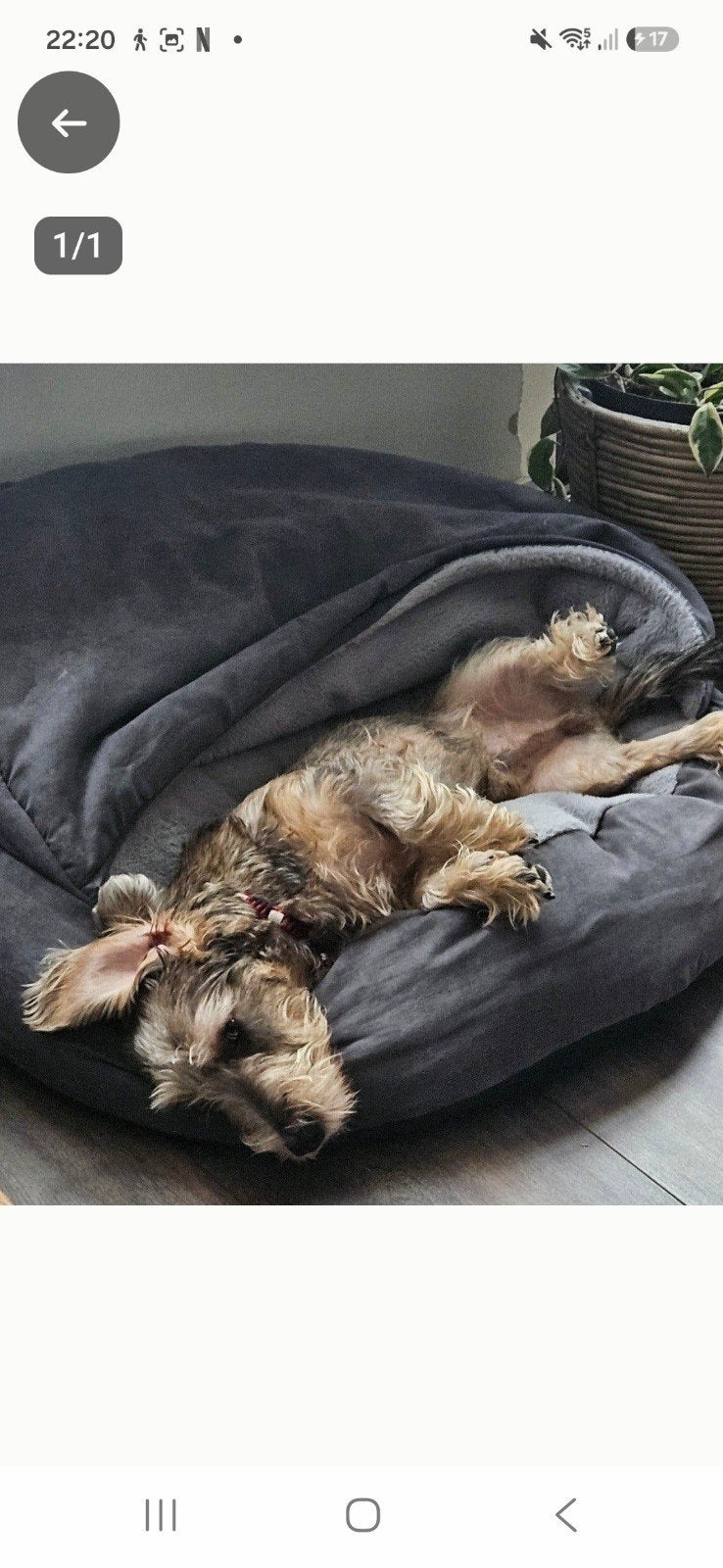 honden iglo / slaapzak, Dieren en Toebehoren, Ophalen of Verzenden, Zo goed als nieuw