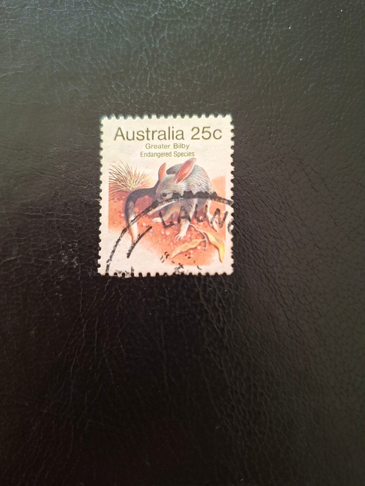Australië.  Grote buidelrat., Ophalen of Verzenden