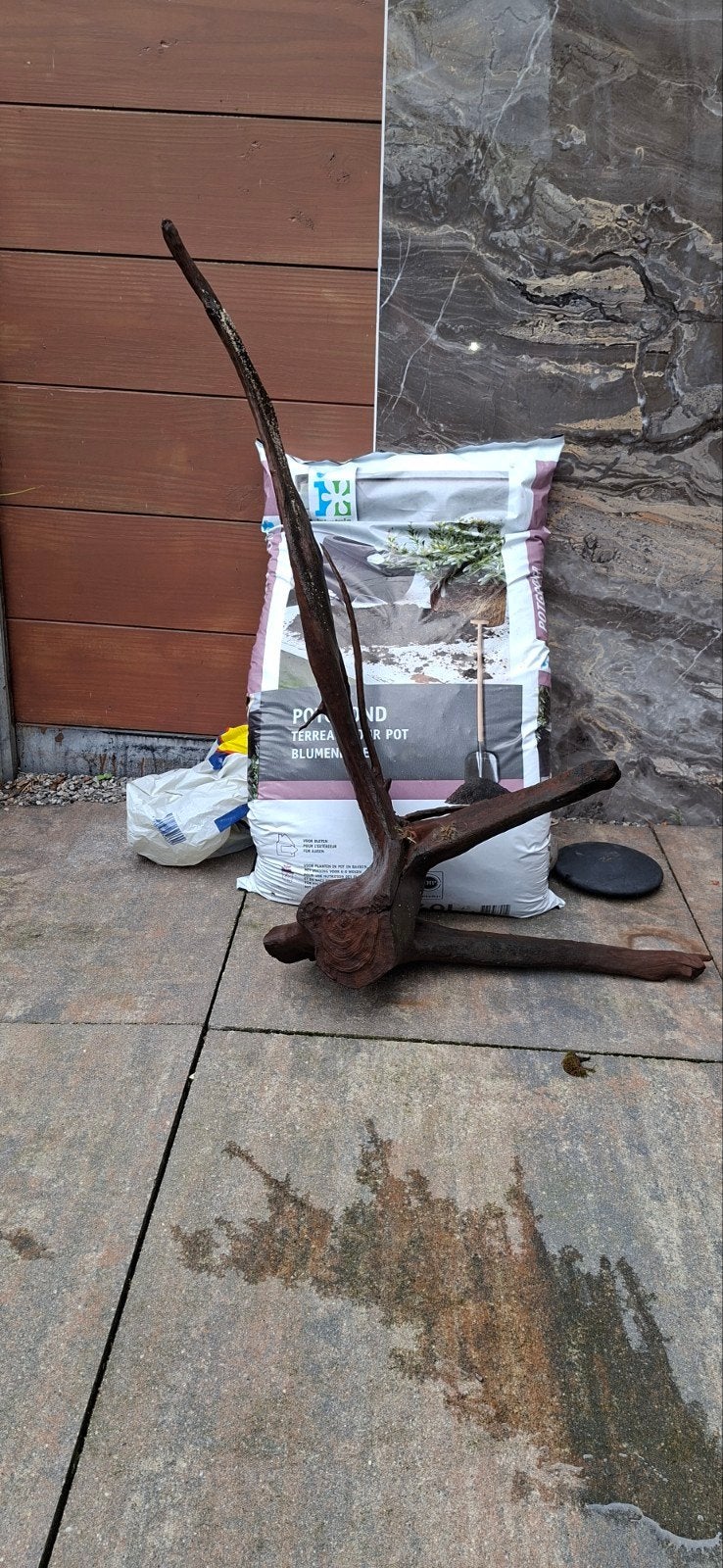 Aquarium hout zwaar en 100% zinkend. Schoon van algen., Dieren en Toebehoren, Ophalen, Plant(en), Steen of Hout