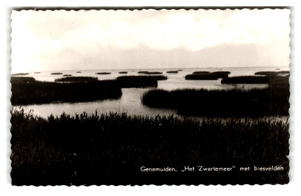 Genemuiden, "Het Zwartemeer" met biesvelden, Verzamelen, Verzenden, 1960 tot 1980, Gelopen, Overijssel