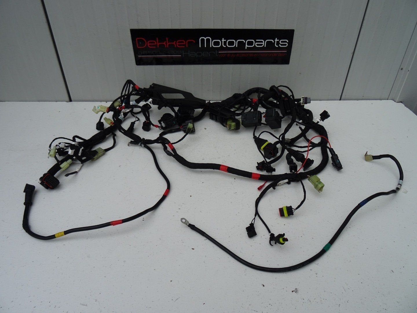 Kabelboom / Wire Harness Ducati Monster 821 2018-2019-2020, Motoren, Onderdelen | Ducati, Gebruikt, Ophalen of Verzenden