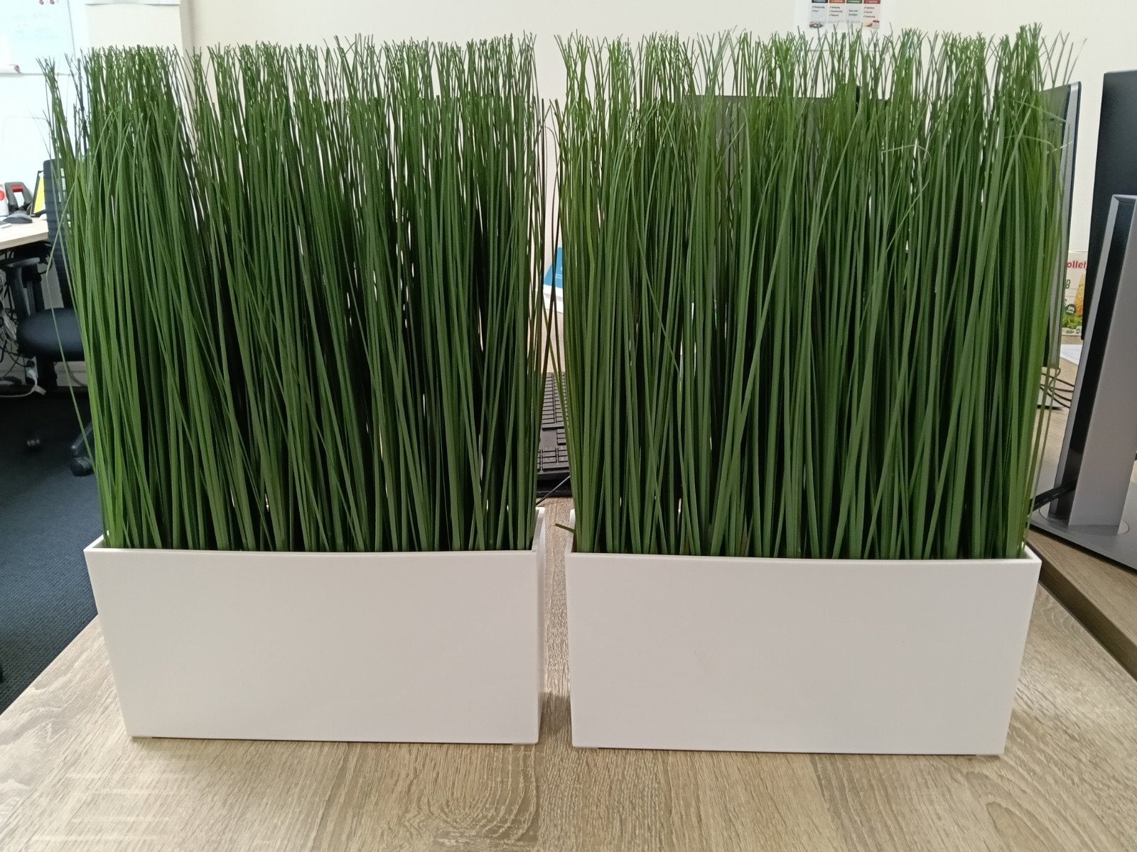 Kunstgras/plant, Huis en Inrichting, Ophalen of Verzenden