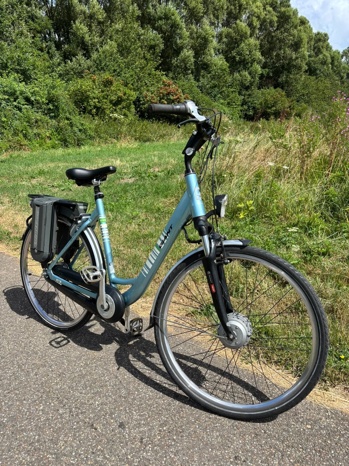 Giant Twist Go Double Hybrid elektrische fiets, Ophalen of Verzenden, Zo goed als nieuw