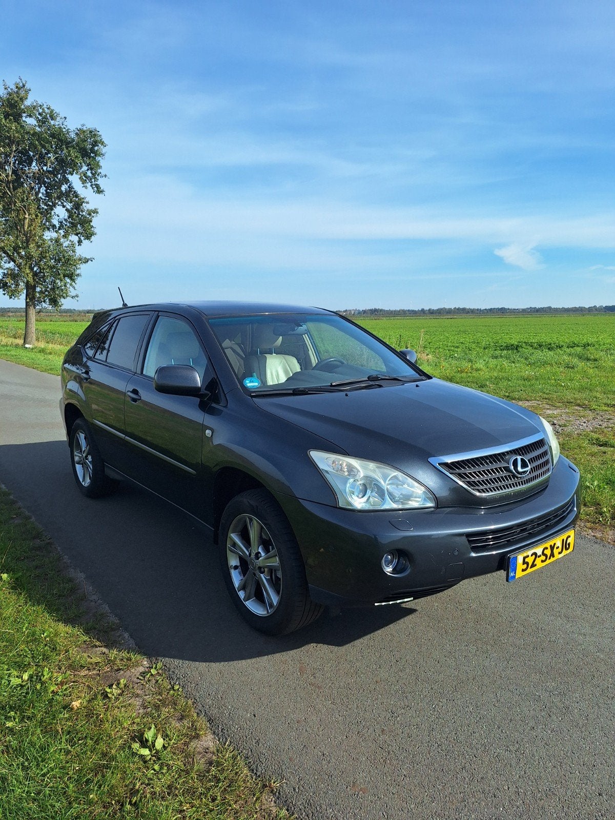 Lexus RX(-H) 400H 3.3 V6 AUT 2006 Grijs, Auto's, Automaat, 3311 cc, Origineel Nederlands, 211 pk