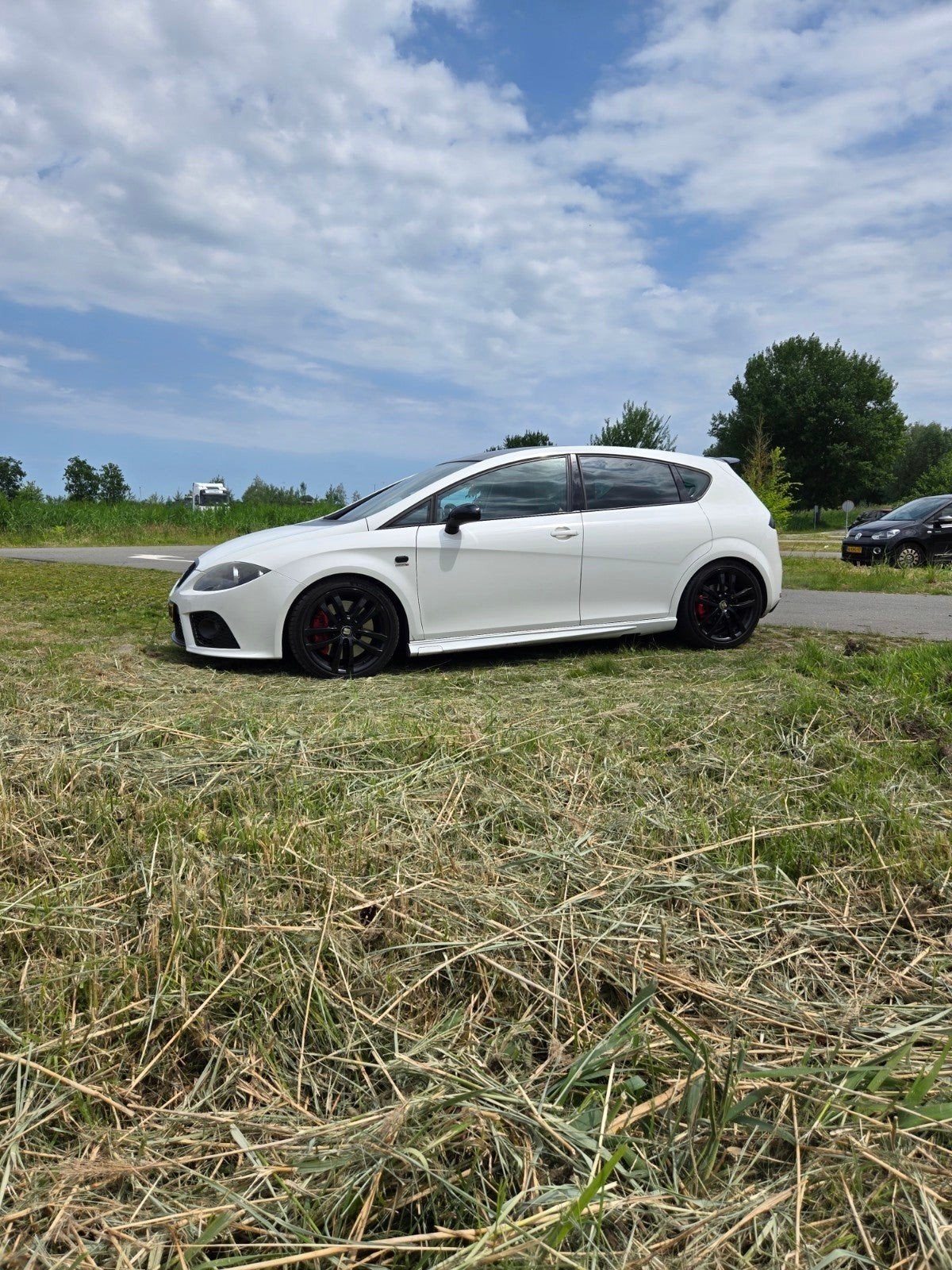 Seat Leon 2.0 Tfsi 16V 177KW Cupra 2009 Wit, Voorwielaandrijving, Stof, Zwart, 1984 cc