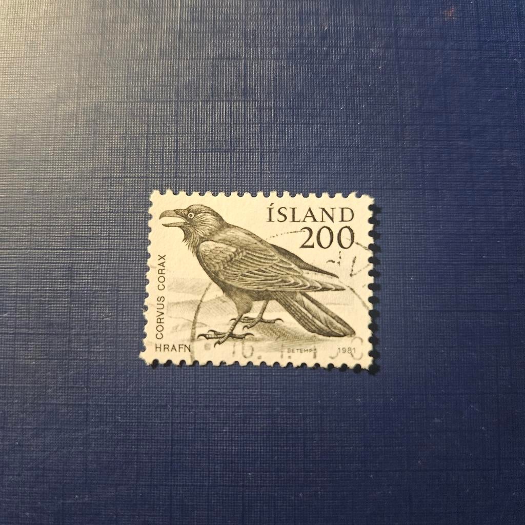 IJsland nr 569, Ophalen of Verzenden, IJsland, Gestempeld