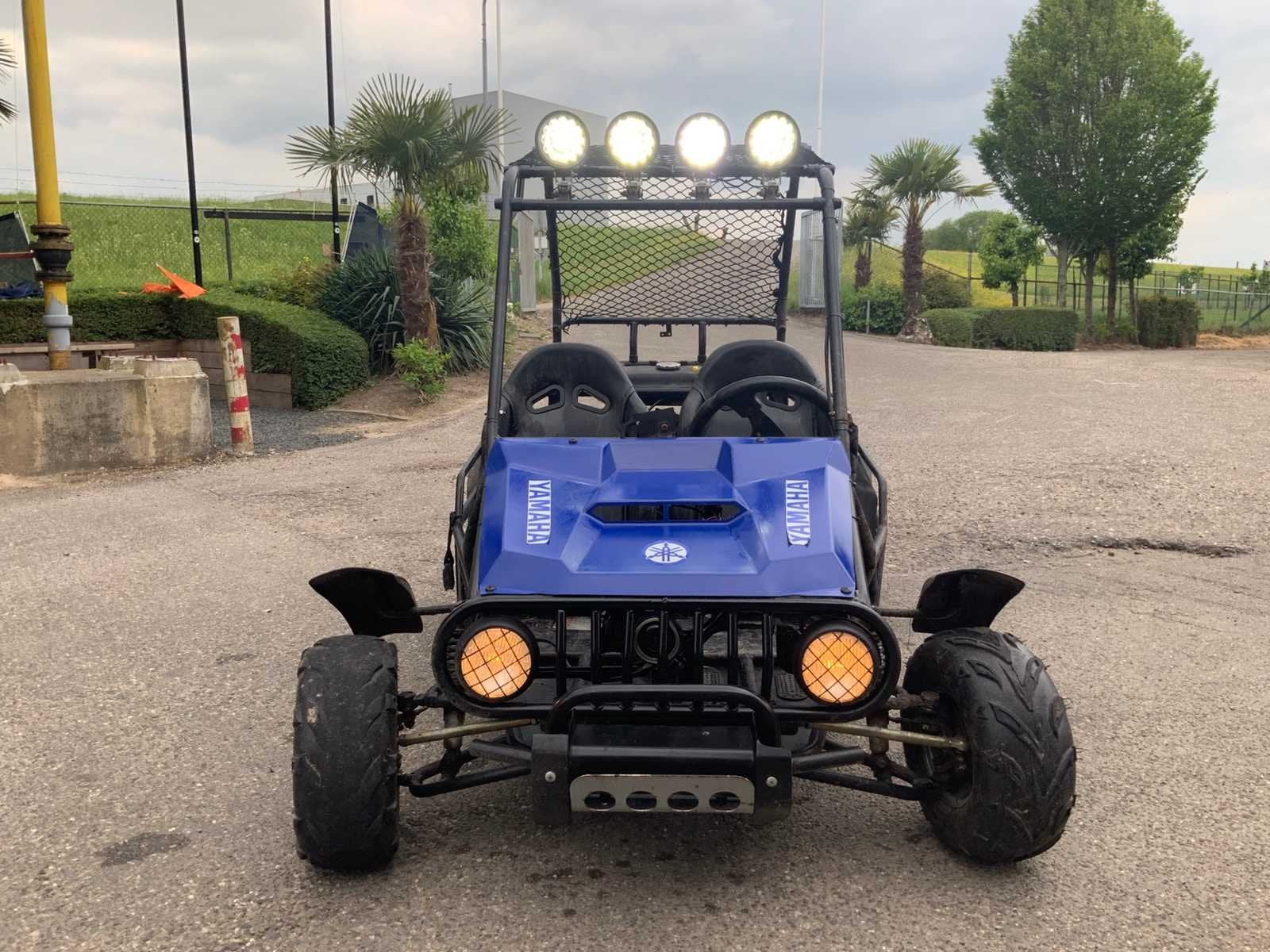 Buggy - Quad - 2016, Motoren, Quads en Trikes