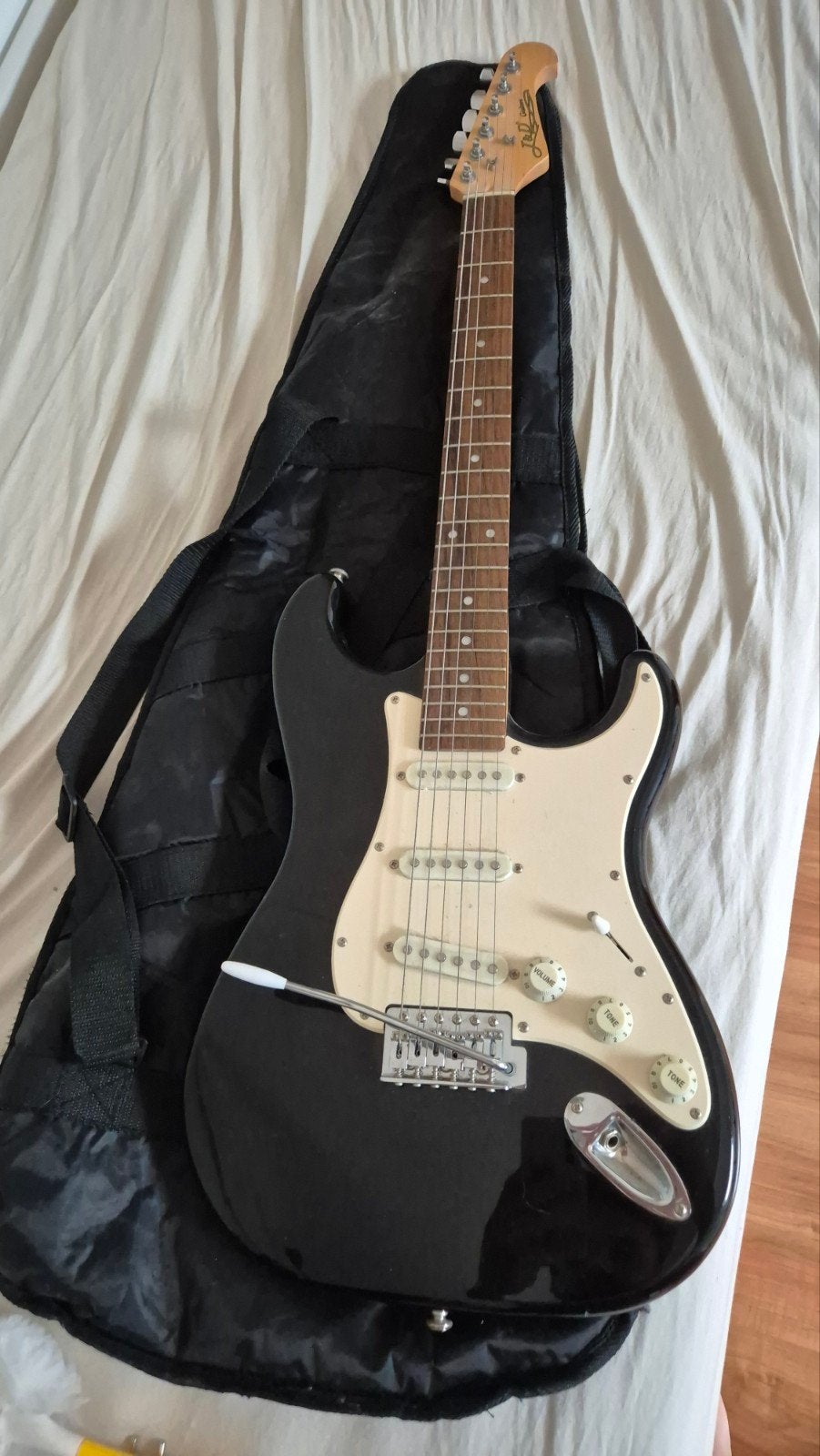 J&D Brothers elektrische gitaar met gigbag, Ophalen