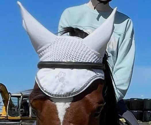 Leuk wit oornetje!, Dieren en Toebehoren, Paarden en Pony's | Dekens en Dekjes, Ophalen of Verzenden, Zo goed als nieuw