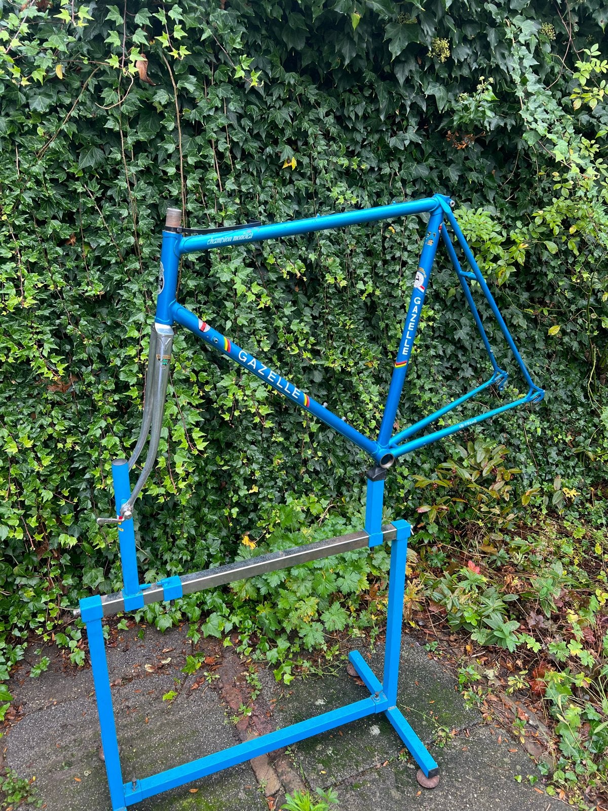 Gazelle Champion Mondial AB-Frame racefiets frame 60cm, Fietsen en Brommers, Fietsonderdelen, Ophalen, Frame, Gebruikt, Staal