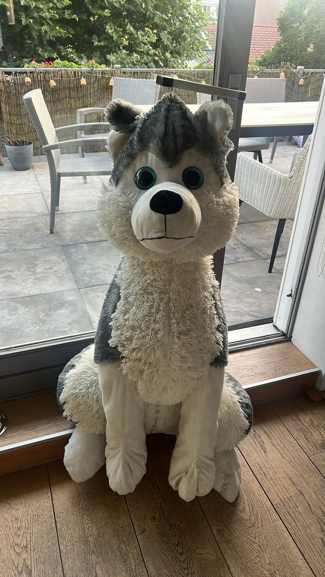 Xxxl hond, Ophalen, Gebruikt, Hond, Groot (groter dan 80 cm)