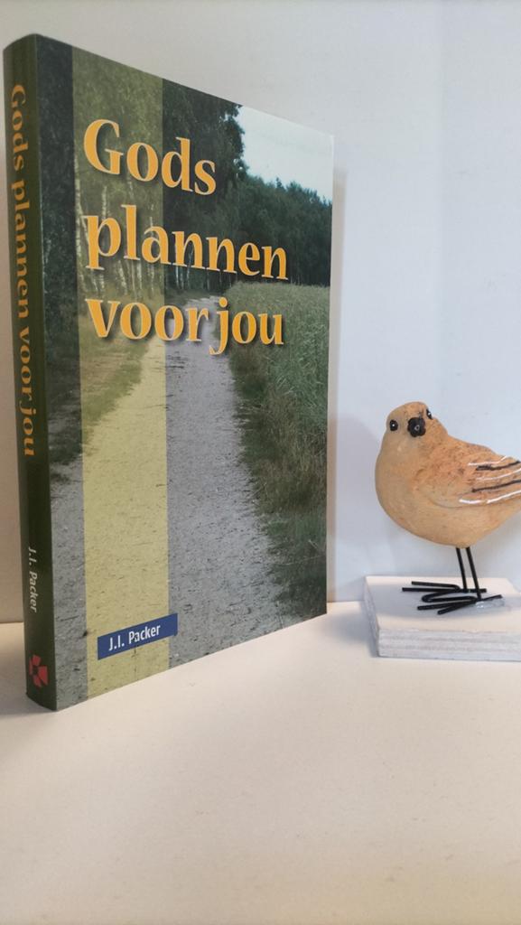 Packer, J.I.; Gods plannen voor jou, Ophalen of Verzenden, Gelezen, Christendom | Protestants
